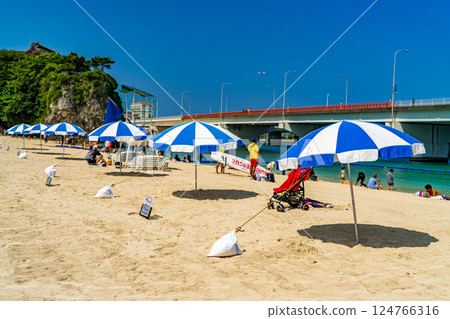 海灘上的海浪 124766316