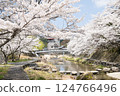 Cherry blossoms at Otozuregawa River 124766496