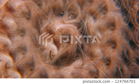 Water background. Paint color. Defocused yellow cloud texture wave wet mix liquid ethereal fluid fluttering on creative abstract art. 124766701