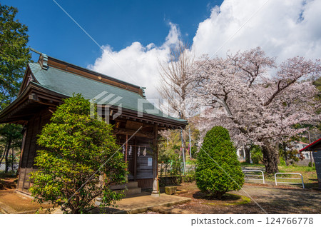 Cherry blossoms blooming at Ishiza Shrine, Tsurumaki Onsen 124766778