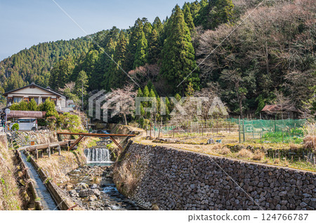 鞍馬川，京都市鞍馬村附近流淌的一條清澈的小溪 124766787