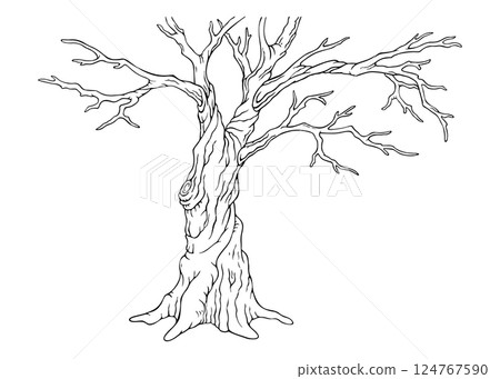 Bare deciduous tree silhouette. Isolated hand drawn outline old leafless tree. Single natural object on white from Spring collection for winter, spring or fall season background or scenery creating 124767590
