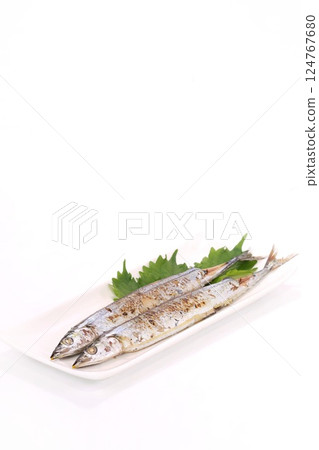 烤鹹秋刀魚、烤魚、淺色背景 124767680