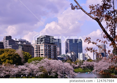 櫻花和護城河 124767984