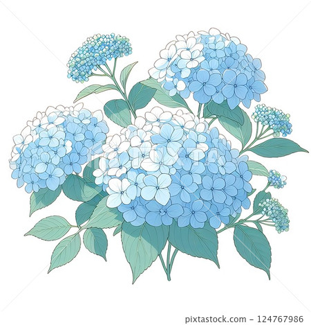 簡單的繡球花圖 124767986