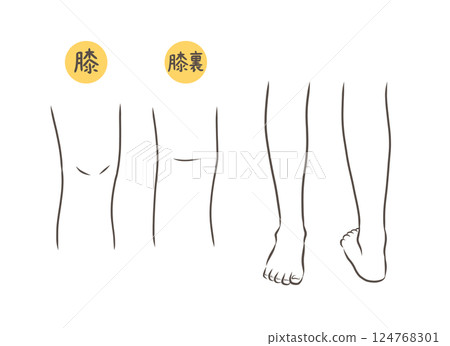 膝蓋和小腿部位插圖集 膝蓋和小腿部位插圖集 124768301