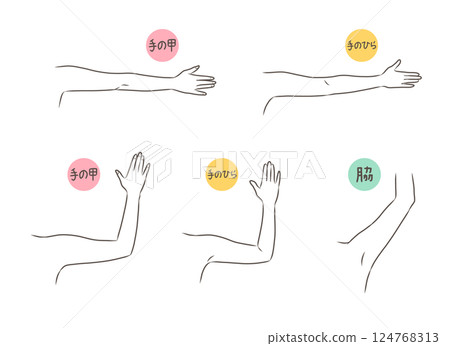 Arm parts illustration set 124768313