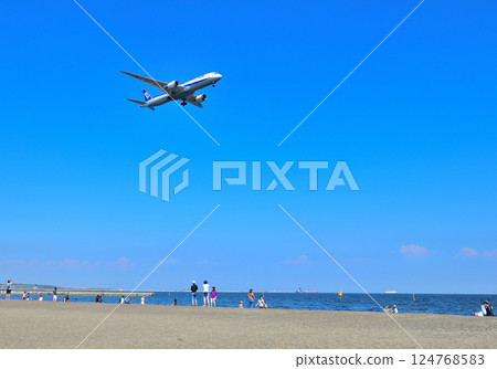 Summer seaside landscape 124768583