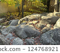 Relaxing Japanese Garden 124768921