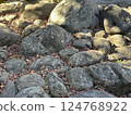 Big stone in the garden 124768922