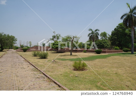 印度：薩赫特遺址，佛教八大聖地之一 124768940