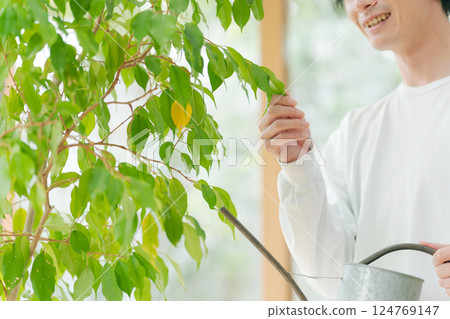 照顧室內植物的男人 124769147