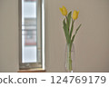 Flowers tulips on windowsill 124769179