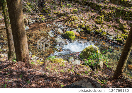 京都府京都市鞍馬清流 124769180