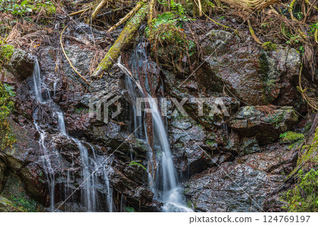 京都鞍馬森林中的小瀑布 京都鞍馬森林中的小瀑布 124769197