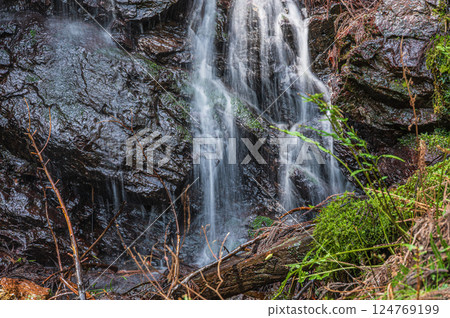 A small waterfall in the forest, Kurama, Kyoto A small waterfall in the forest, Kurama, Kyoto 124769199