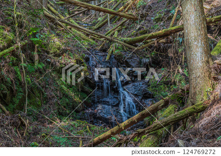 A small waterfall in the forest, Kurama, Kyoto A small waterfall in the forest, Kurama, Kyoto 124769272