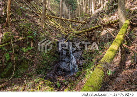 京都鞍馬森林中的小瀑布 124769276