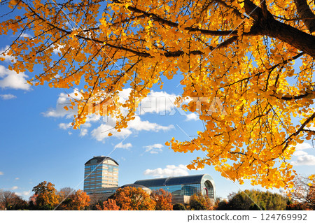 愛知健康森林公園的紅葉 124769992