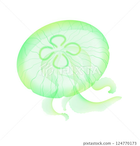 Moon jellyfish_Green Moon jellyfish_Green 124770173