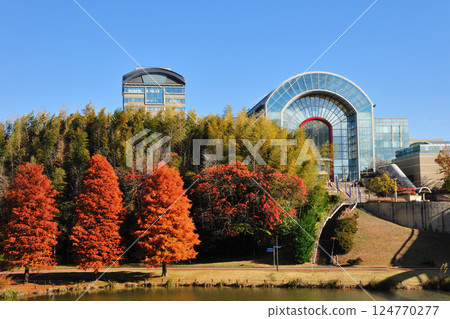 愛知健康森林公園的紅葉 124770277