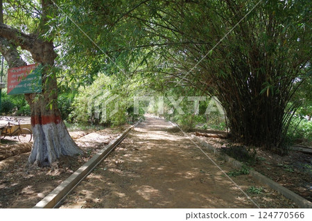 Rajgir Bamboo Forest Monastery, one of the eight great Buddhist holy sites in India 124770566