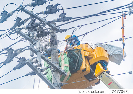 烏鴉巢：電線桿頂端的烏鴉巢，拆除工作，停電原因 124770673