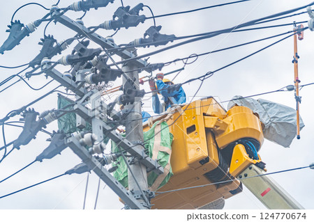 烏鴉巢:電線桿頂端的烏鴉巢,拆除工作,停電原因 烏鴉巢:電線桿頂端的烏鴉巢,拆除工作,停電原因 124770674