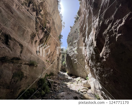 Beautiful Avakas Gorge valley during trekking on Cyprus island. 124771170
