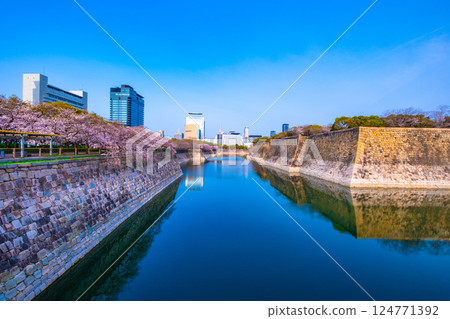 The southern moat of Osaka Castle and rows of cherry trees 124771392