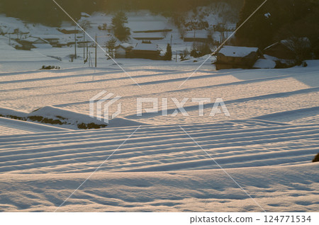 Snowy landscape of rice terraces in Mikawa 124771534