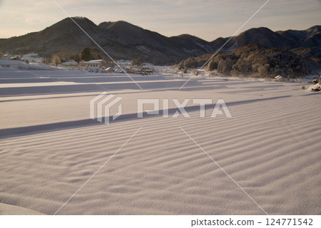 清晨，三河的梯田被白雪覆蓋 124771542