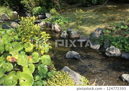 Spring day at the gardens of Jonangu Shrine, Kyoto Spring day at the gardens of Jonangu Shrine, Kyoto 124772393