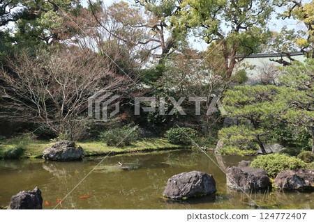 京都城南宮花園的春日 124772407