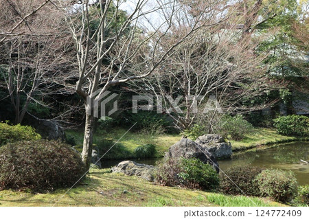 京都城南宮花園的春日 124772409