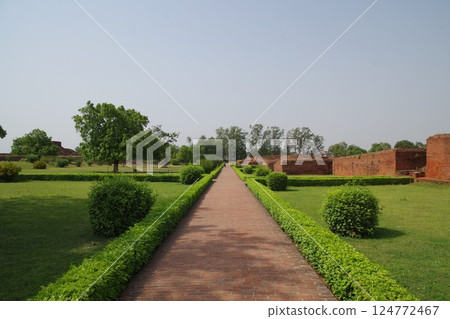 India World Heritage Site: Mahavihara Archaeological Site, Nalanda, Bihar India World Heritage Site: Mahavihara Archaeological Site, Nalanda, Bihar 124772467