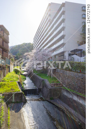 Shioya River Shioya River 124772740