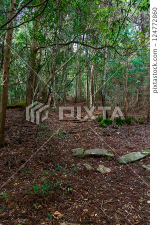 A thick mountain trail A thick mountain trail 124772860