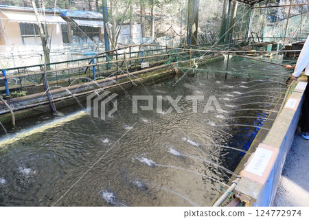 Hasso Trout Fishing Area 124772974