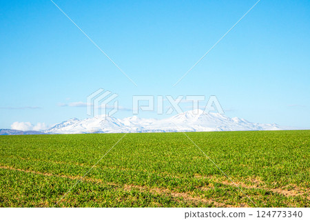 Refreshing spring scenery in the hills of Biei, Hokkaido Refreshing spring scenery in the hills of Biei, Hokkaido 124773340