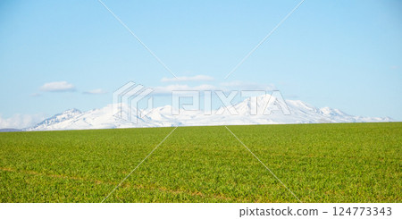 Refreshing spring scenery in the hills of Biei, Hokkaido Refreshing spring scenery in the hills of Biei, Hokkaido 124773343