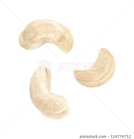 Watercolor hand-drawn illustration of cashew nuts Watercolor hand-drawn illustration of cashew nuts 124774712