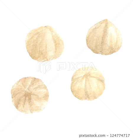 Hazelnut illustration drawn by watercolor 124774717