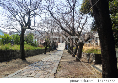 Yugyoji Temple_Irohazaka 124774772
