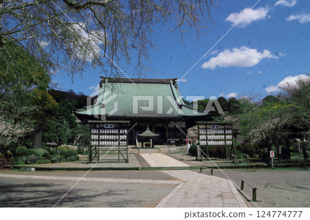 Yugyoji Temple - Main Hall 124774777