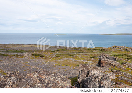 Rocky Barents Sea coast, summer landscape 124774877
