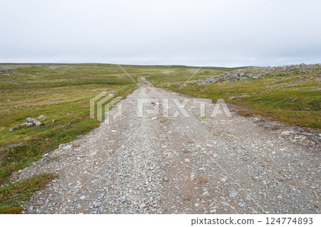 Gravel road in summer tundra 124774893