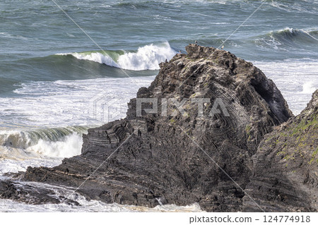 White storks in their nest on a cliff along the coastline of Odeceixe, Algarve, Portugal. White storks in their nest on a cliff along the coastline of Odeceixe, Algarve, Portugal. 124774918