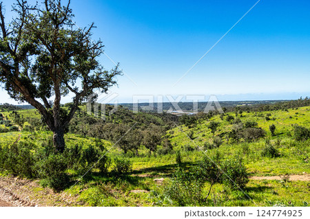 Walking from Troviscais to the River Mira, Vicentine Coast Natural Park Portugal, Rota Vicentina Coast. 124774925