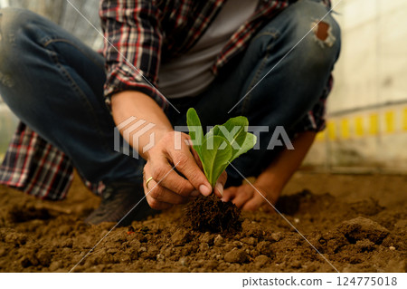 Hand planting young leafy green seedling into fertile soil. Growth, new beginnings and environmental concept 124775018